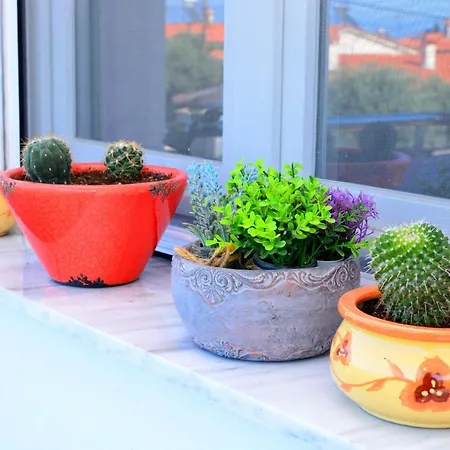 Blue North Luxury * タソス